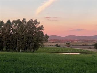 https://www.gallito.com.uy/campo-chacra-casa-cabaña-aguas-bancas-lavalleja-inmuebles-26284639