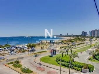 https://web5.gallito.com.uy/apartamento-en-venta-frente-al-mar-punta-de-este-inmuebles-25041726