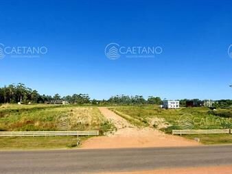 https://www.gallito.com.uy/terrenos-en-la-barra-inmuebles-26945342