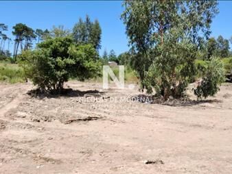 https://web5.gallito.com.uy/vende-terreno-en-golf-punta-del-este-inmuebles-26432520