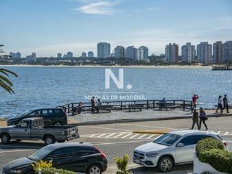 https://web5.gallito.com.uy/departamento-de-4-dormitorios-en-venta-con-vista-al-mar-en-inmuebles-24987848