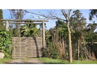 https://www.gallito.com.uy/terreno-en-venta-en-el-tesoro-la-barra-inmuebles-26325165