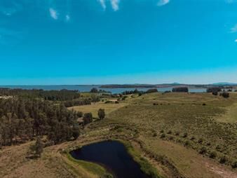 https://web5.gallito.com.uy/venta-chacra-laguna-del-sauce-ruta-12-punta-este-10-ha-inmuebles-26789929