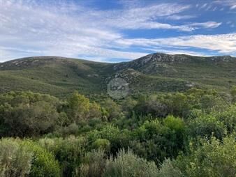 https://web5.gallito.com.uy/se-vende-lote-en-las-campanas-lavalleja-inmuebles-27008030