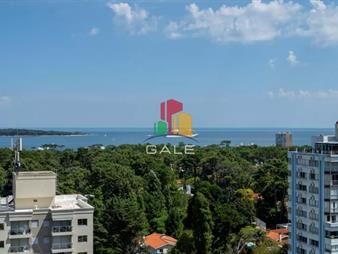 https://web5.gallito.com.uy/hermoso-y-amplio-apartamento-en-punta-del-este-en-oportunid-inmuebles-27008576