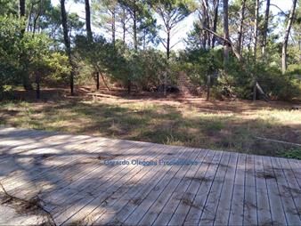 https://www.gallito.com.uy/oportunidad-terreno-de-1043-mts2-con-piscina-deck-y-per-inmuebles-20121817