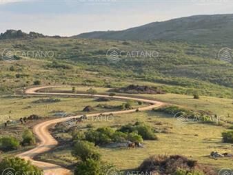 https://www.gallito.com.uy/venta-chacra-5-hectareas-pueblo-eden-ruta-12-maldonado-inmuebles-27032409