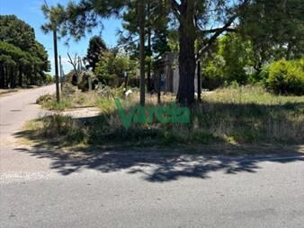 https://www.gallito.com.uy/venta-terrreno-esquina-al-sur-prox-rambla-inmuebles-27038173