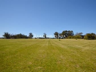 https://www.gallito.com.uy/venta-lote-terreno-en-el-quijote-inmuebles-27058506