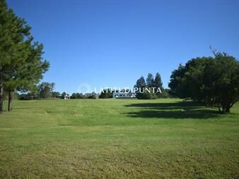 https://www.gallito.com.uy/venta-terreno-en-el-quijote-inmuebles-27058848