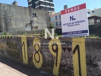 https://web5.gallito.com.uy/venta-terreno-en-peninsula-de-punta-del-este-inmuebles-25035672