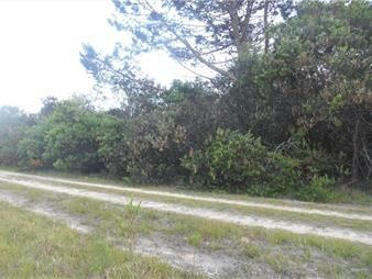 https://web5.gallito.com.uy/terreno-en-venta-en-oceania-del-polonio-inmuebles-27068871