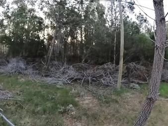 https://www.gallito.com.uy/increible-oportunidad-terreno-a-4-cuadras-de-la-playa-inmuebles-26386256