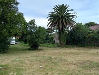 https://web5.gallito.com.uy/terreno-maldonado-952-m2-para-edificacion-en-altura-inmuebles-24852071