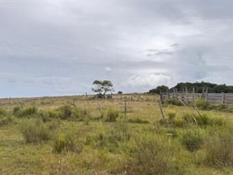 https://www.gallito.com.uy/campo-de-78-has-en-garzon-inmuebles-26598529