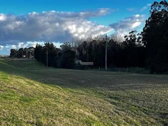 https://www.gallito.com.uy/venta-terreno-progreso-20000m2-ruta-5-entre-r-48-y-entrada-inmuebles-26241929