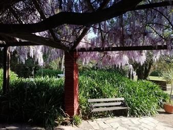 https://web5.gallito.com.uy/alquiler-chacra-colon-camino-fortet-y-ruta-102-inmuebles-25934368
