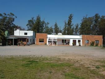 https://www.gallito.com.uy/chacra-de-1-hectarea-con-casa-y-local-comercial-sobre-ruta-inmuebles-27091062