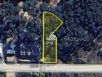https://www.gallito.com.uy/terreno-en-venta-en-ocean-park-punta-ballena-ref-pbi1-inmuebles-27042691