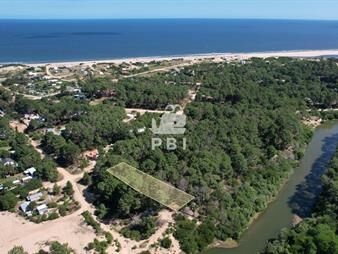 https://web5.gallito.com.uy/terreno-en-chihuahua-punta-ballena-ref-pbi13231-inmuebles-24816324