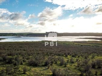 https://www.gallito.com.uy/venta-de-chacra-en-laguna-del-sauce-punta-del-este-ref-inmuebles-23521889