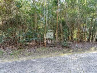 https://www.gallito.com.uy/terreno-en-design-village-punta-ballena-ref-pbi3132-inmuebles-23531404