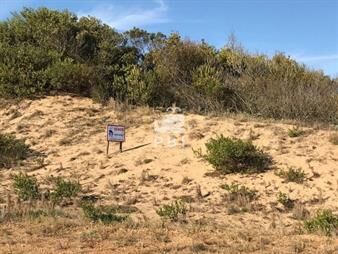 https://web5.gallito.com.uy/terreno-en-venta-chihuahua-ref-pbi892-inmuebles-23142029