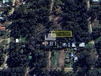 https://web5.gallito.com.uy/terreno-a-la-venta-en-sauce-de-portezuelo-punta-ballena-inmuebles-26665304