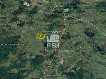 https://web5.gallito.com.uy/venta-de-campo-79-hectareas-ref-pbi13923-inmuebles-26076730