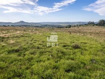 https://web5.gallito.com.uy/chacra-cerca-de-pueblo-eden-ref-pbi13568-inmuebles-25295706