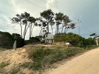 https://web5.gallito.com.uy/terreno-en-venta-chihuahua-ref-pbi887-inmuebles-25372761