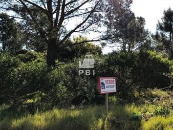 https://web5.gallito.com.uy/terreno-en-venta-tio-tom-ref-pbi868-inmuebles-23062958