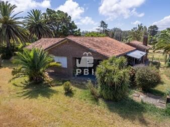 https://web5.gallito.com.uy/chacra-en-camino-lussich-maldonado-ref-pbi3010-inmuebles-25635863