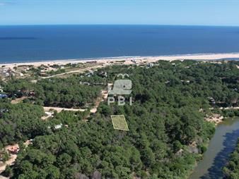 https://web5.gallito.com.uy/terreno-en-chihuahua-punta-ballena-ref-pbi3047-inmuebles-25661290