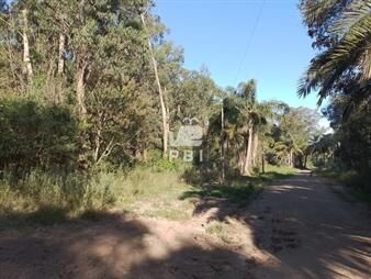 https://web5.gallito.com.uy/venta-de-lote-en-sauce-de-portezuelo-ref-pbi2884-inmuebles-26297847