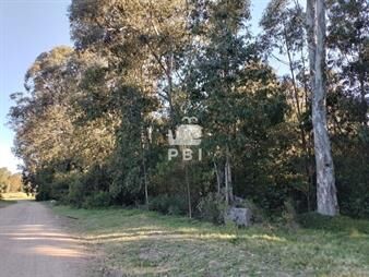 https://web5.gallito.com.uy/venta-de-lote-en-sauce-de-portezuelo-ref-pbi2890-inmuebles-24591012