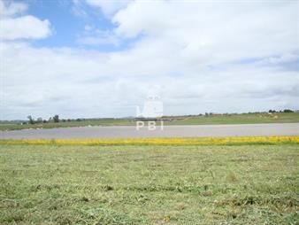 https://www.gallito.com.uy/lote-en-laguna-de-los-cisnes-punta-ballena-ref-pbi2734-inmuebles-23065848