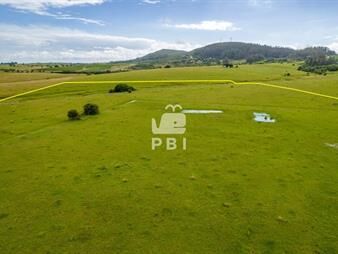 https://www.gallito.com.uy/chacra-en-pueblo-eden-maldonado-ref-pbi2619-inmuebles-23065719