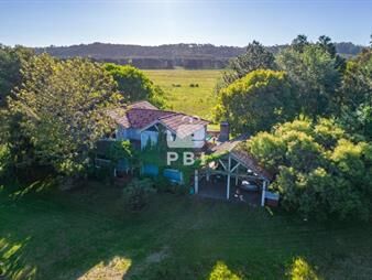 https://web5.gallito.com.uy/venta-de-chacra-4-dormitorios-en-la-pataia-punta-ballena-inmuebles-23123330