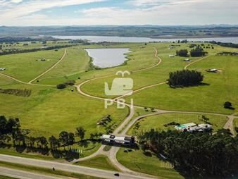 https://web5.gallito.com.uy/venta-de-lote-en-laguna-de-los-cisnes-punta-ballena-ref-inmuebles-23142240