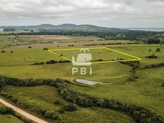 https://www.gallito.com.uy/venta-de-chacra-en-la-pataia-punta-ballena-ref-pbi2141-inmuebles-23082131