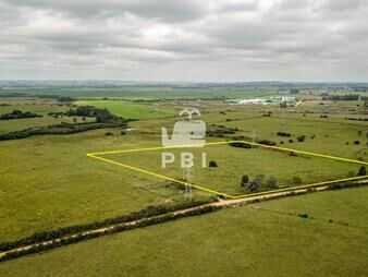 https://web5.gallito.com.uy/venta-de-chacra-en-la-pataia-punta-ballena-ref-pbi2134-inmuebles-23082125