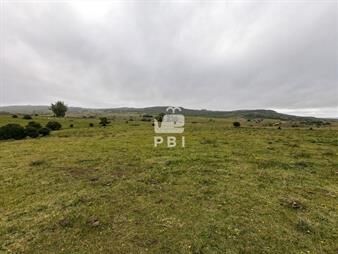 https://www.gallito.com.uy/venta-de-chacra-en-pueblo-eden-maldonado-ref-pbi2284-inmuebles-23082184