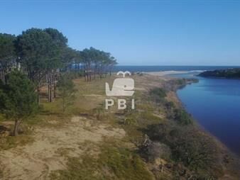 https://web5.gallito.com.uy/chacra-en-venta-la-carolina-ref-pbi479-inmuebles-23141976