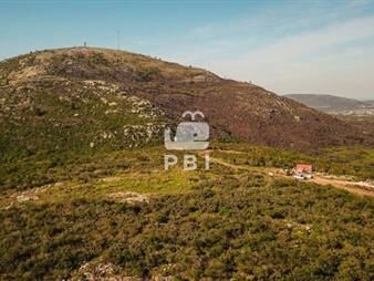 https://www.gallito.com.uy/chacra-en-venta-piriapolis-ref-pbi1619-inmuebles-23142160