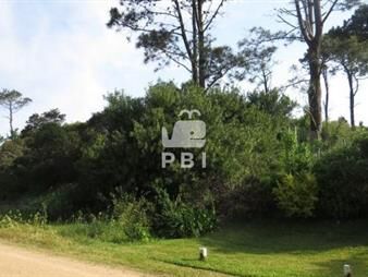 https://web5.gallito.com.uy/terreno-en-venta-chihuahua-ref-pbi1198-inmuebles-23840360