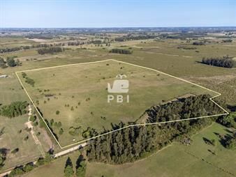 https://web5.gallito.com.uy/venta-de-chacra-en-las-vertientes-punta-ballena-ref-pb-inmuebles-23065561