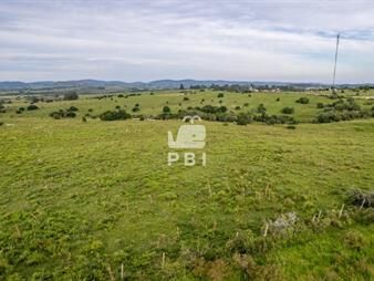 https://www.gallito.com.uy/chacra-cerca-de-pueblo-eden-ref-pbi13574-inmuebles-25295827