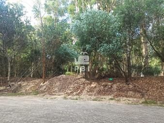https://web5.gallito.com.uy/terreno-en-design-village-ref-pbi13480-inmuebles-25105729