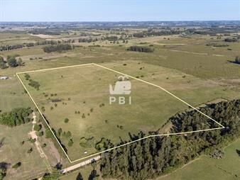 https://www.gallito.com.uy/venta-de-chacra-en-las-vertientes-punta-ballena-ref-pb-inmuebles-26146901